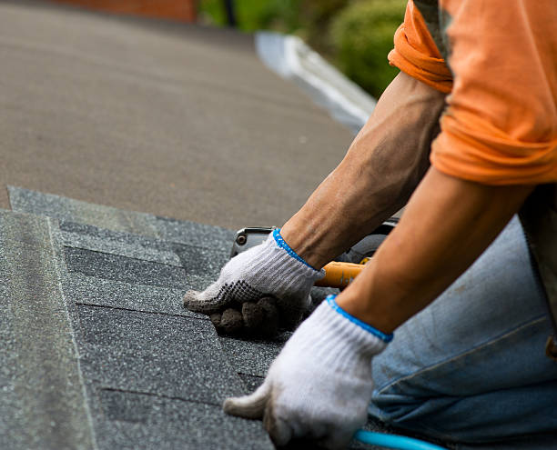 Best Roof Waterproofing Services  in Clinton, MI