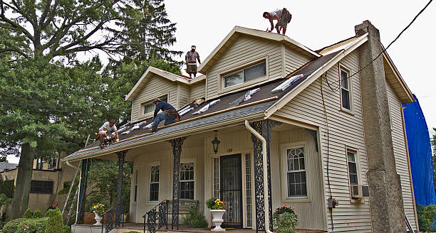 Best Storm Damage Roof Repair  in Clinton, MI