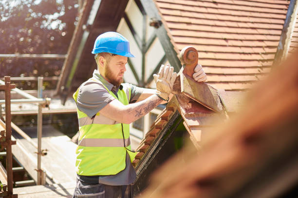 Best Roof Repair Specialists  in Clinton, MI