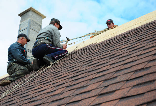 Best Roof Gutter Cleaning  in Clinton, MI