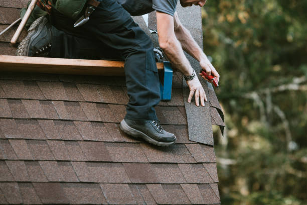 Best Roof Leak Repair  in Clinton, MI